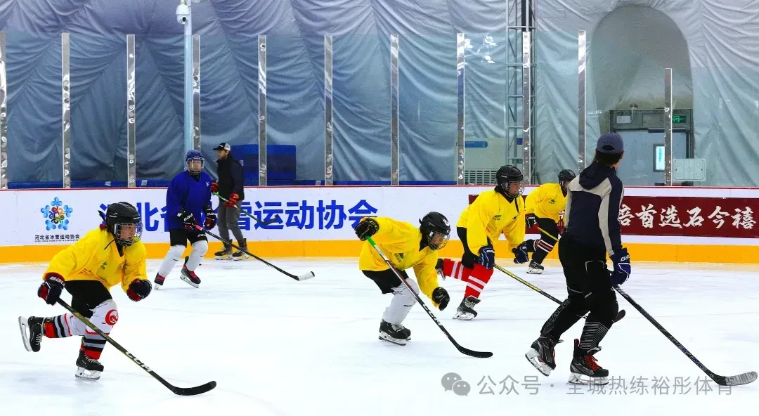 篮球训练简历怎么写_0